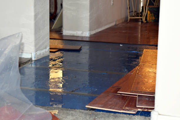 Professional Burst Pipe Cleanup technician working in Grandview, WA